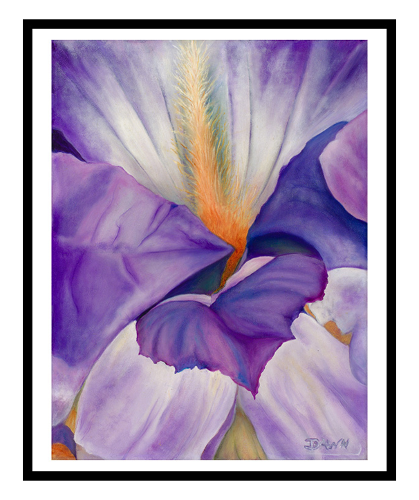 Purple Iris