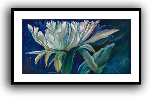 Night Flower